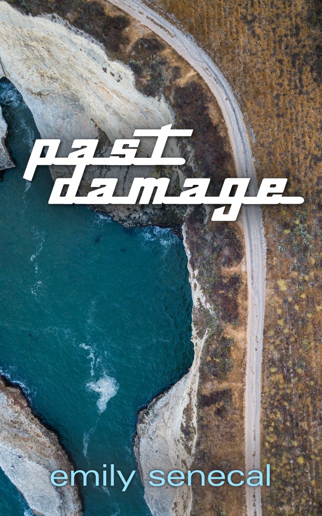 Past Damage by Emily Senecal.